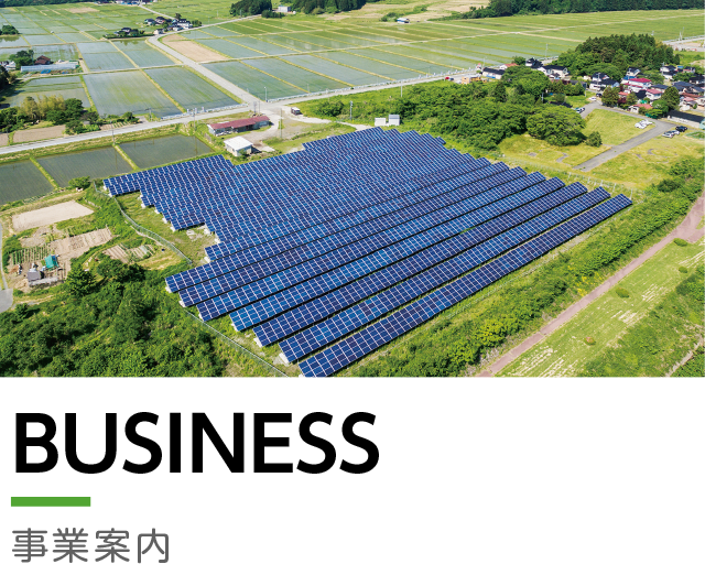 BUSINESS 事業案内